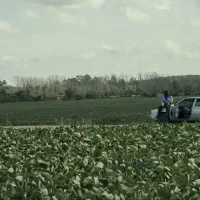 Se estrenó hace unos días y ya es la serie más vista de Netflix