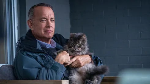 Tom Hanks da vida a Otto, un viudo sin ganas de vivir