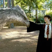 ¿Harry Potter vuelve al cine en 2023?