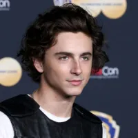 Las mejores películas de Timothée Chalamet para ver en streaming
