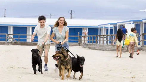 Andrew Barth Feldman y Jennifer Lawrence protagonizan la película de Sony