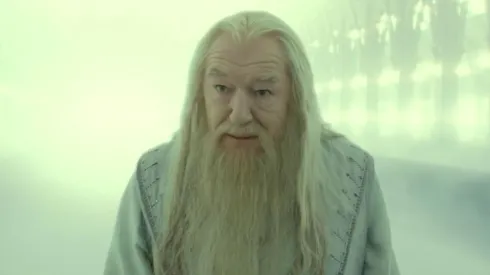 Quién será Dumbledore en la serie Harry Potter.