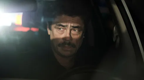 Todo lo que debes saber de Reptiles.