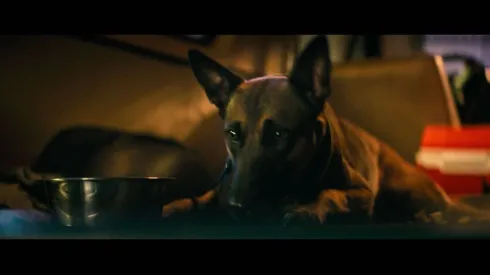 La historia está protagonizada por Lulu