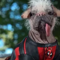 ¿Quién es Dogpool, el nuevo personaje de Deadpool 3?