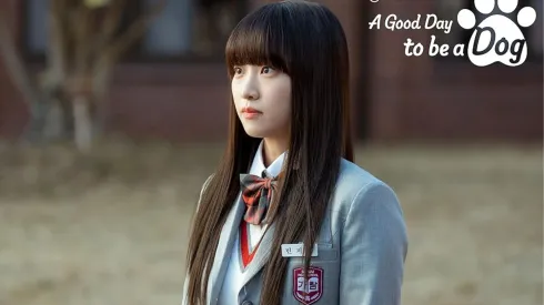 Todo sobre la actriz de A Good to Be a Dog.