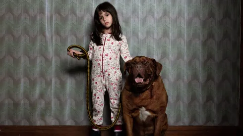 ¿Cuando acecha la maldad llegará a Netflix?