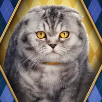 Argylle: Quién es realmente el gato Alfie, a quién pertenece y por qué provocó polémica
