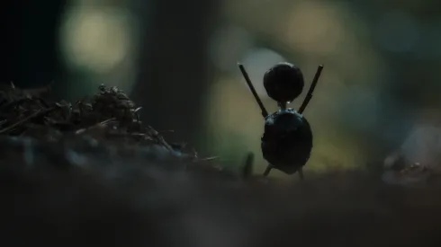 La serie que se convierte en película.