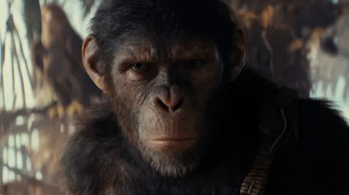 El Planeta de los Simios: Nuevo Reino es la décima película en la franquicia Planet of the Apes.