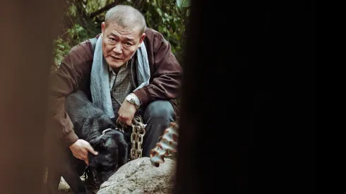 La película mantiene una calificación casi perfecta de parte de la crítica.