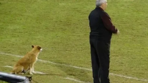 La hermosa auxiliar técnica de una ex gloria de Cruz Azul