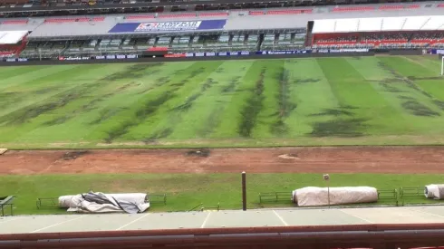 El césped del Coloso de Santa Úrsula está inutilizable. (Richter19)