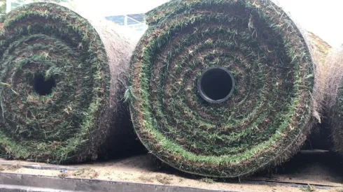 El pasto nuevo del Azteca será plantado hoy. (TVC Deportes)