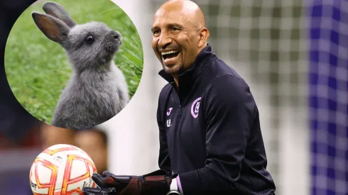 El Conejo Pérez, defendió el arco Celeste durante varios años.