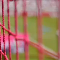 Tras siete meses de recuperación, ¡está de vuelta!