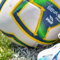 Dice adiós, ¡con una fría despedida!