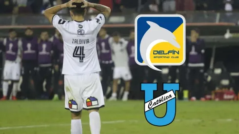 Delfín se arrimó a las celebraciones