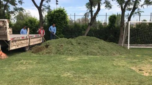 El pasto del Monumental