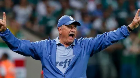 El no de Scolari pilló por sorpresa a la dirigencia de Blanco y Negro.