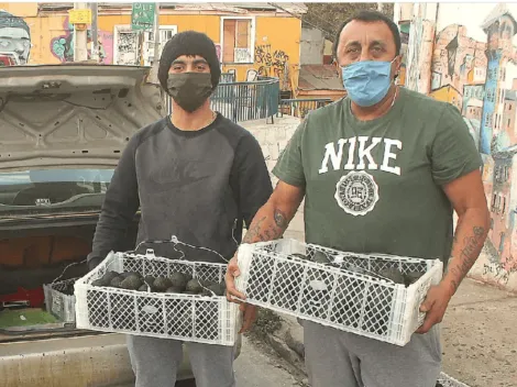 Pistola Flores se reinventa en la crisis y reparte paltas a domicilio