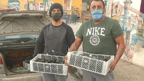 Pistola Flores reparte hasta 70 kilos de paltas a la semana