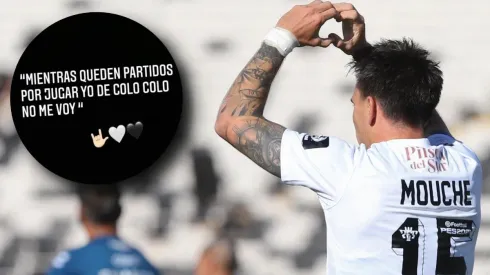 La historia de Instagram de Mouche