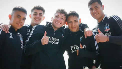 Los juveniles albos.