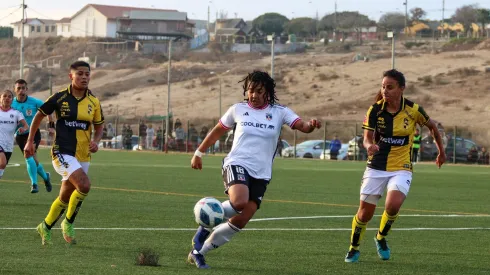 Colo Colo inicia el camino del bicampeonato enfrentando a Coquimbo.