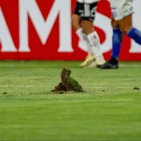 ¿Peligra la localía? Revelan que Conmebol analizará la cancha de Colo Colo para Libertadores