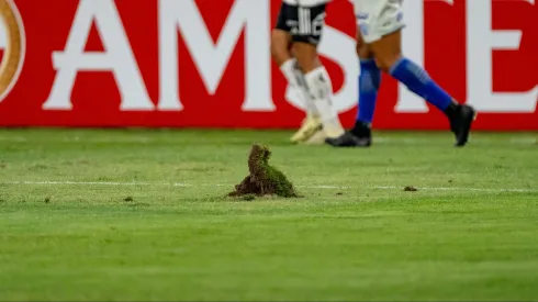 Conmebol tiene en la mira la cancha del Monumental.