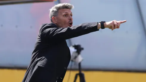 Los “refuerzos” que suma Fernando Ortiz en Colo Colo.