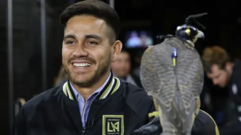 Debut de Fito Zelaya está cada vez más cerca