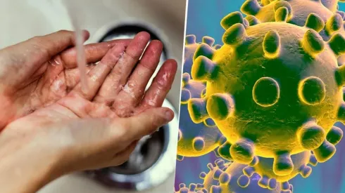 Diferentes entidades dieron consejos a sus seguidores de Twitter para combatir el coronavirus