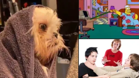 Coronavirus: 10 memes virales que te harán reír en tu cuarentena