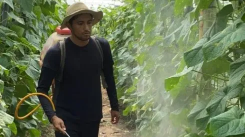 Futbolista del FAS se olvida del fútbol y se dedica a la agricultura