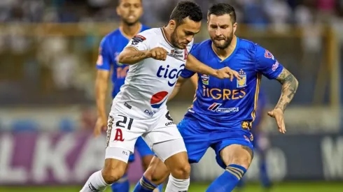 ¡Un picante mensaje de Alianza para Tigres!