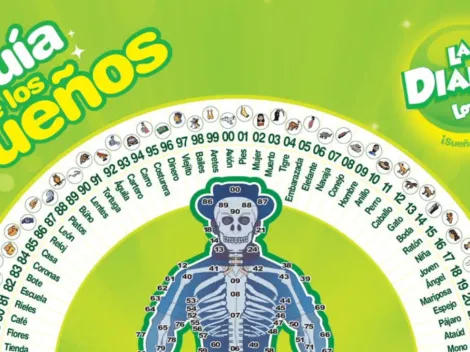 ◉ La Diaria de Honduras de HOY, domingo 26 de febrero: sorteo, resultados y qué cayó a las 11 AM | 3 PM | 9 PM