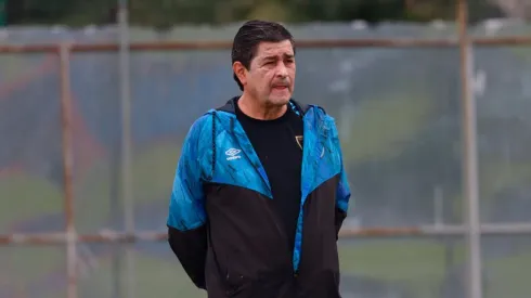 Luis Fernando Tena contará con el legionario que tanto deseaba