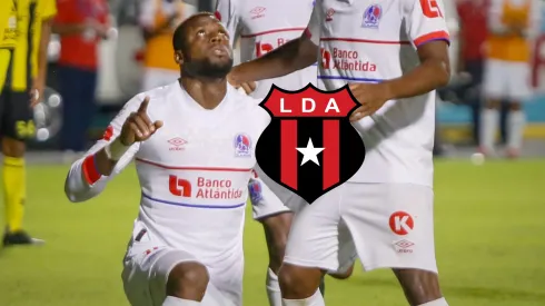 los leones demostraron su contundencia