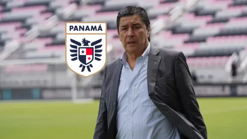 Los chapines están completando su plantel