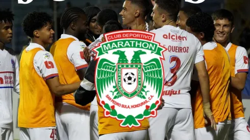 El León ya tiene una noticia que sus aficionados esperaban.