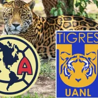 Tigres vs. América: un jaguar predijo quién será el nuevo campeón del Apertura 2023