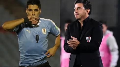 El Pistolero se hizo eco de los rumores de Gallardo a la Selección de Uruguay.