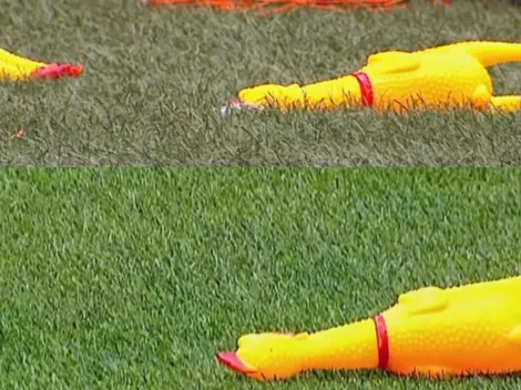 Viral: los hinchas de Boca lanzaron le lanzaron gallinas a los jugadores de River