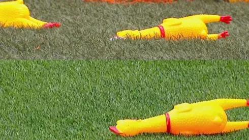 Los hinchas le tiraron gallinas a los jugadores de River.