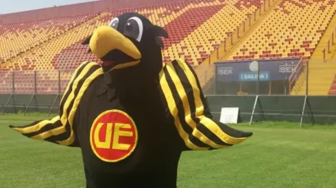 Se busca nombre para el nuevo corpóreo hispano