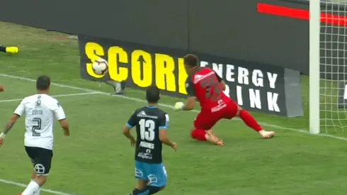 Q.E.P.D. la palomita.