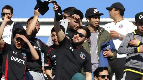 Los colocolinos son mayoría en 2019