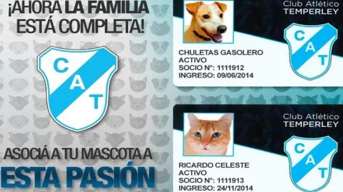 Los regalones también pueden ser socios del Temperley.